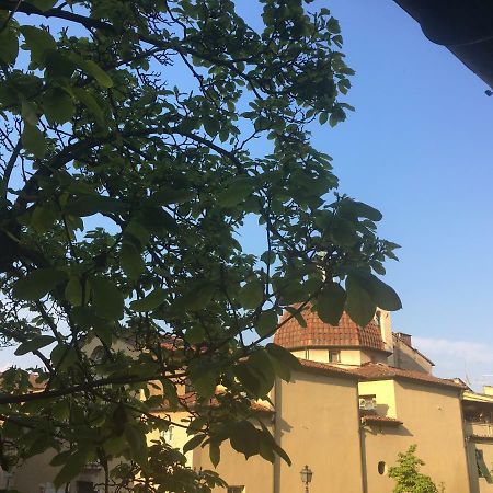 Casa Francesca Apartment ลุคคา ภายนอก รูปภาพ