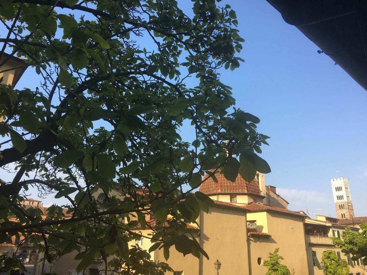 Casa Francesca Apartment ลุคคา ภายนอก รูปภาพ